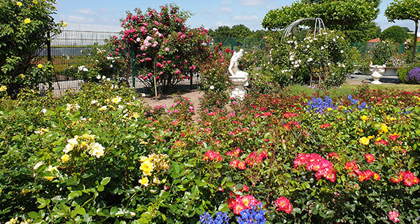 Rosengarten