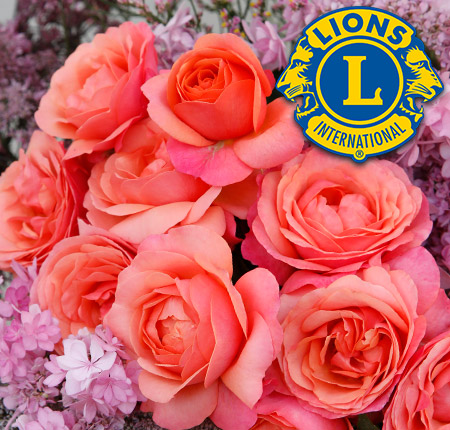 Coral Lions-Rose 
