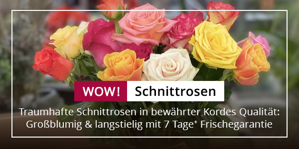 Schnittrosen