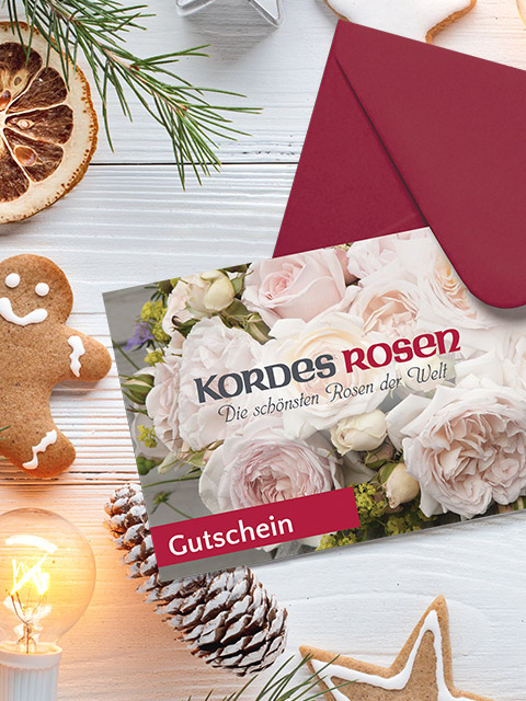 Kordes Gutscheine