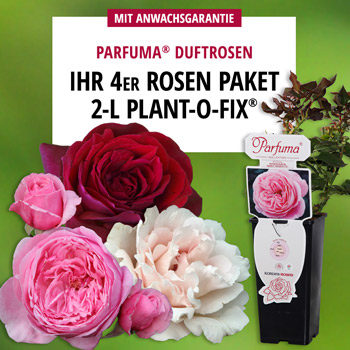 Parfuma® Duftgenerator