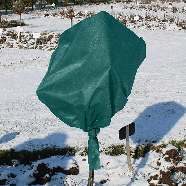 Wintervlies