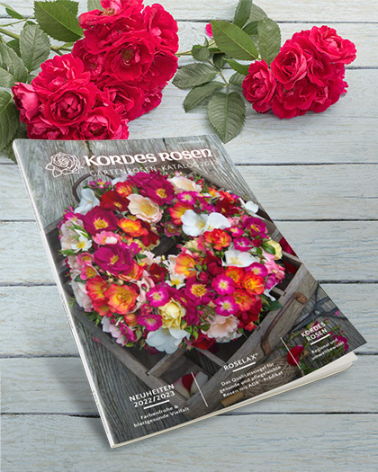 Gartenrosen-Katalog 2023