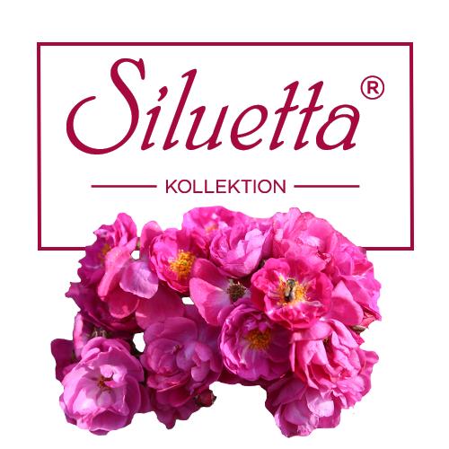 Siluetta® Kollektion
