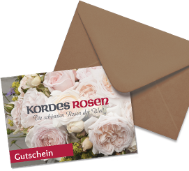 Kordes Gutschein