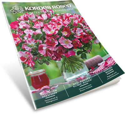 Gartenrosen-Katalog 2024