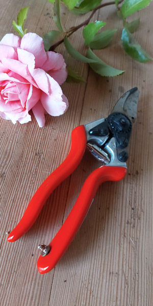 Gartenschere Felco 6 Meisterklasse