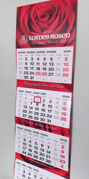 Wandkalender 2025