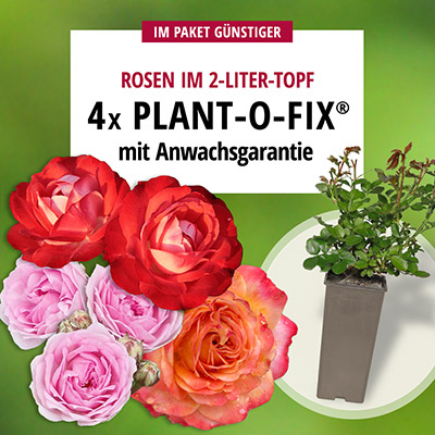 Angebot Plant-o-fix®