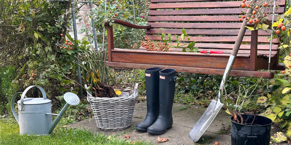 Neupflanzung und Bodenvorbereitung