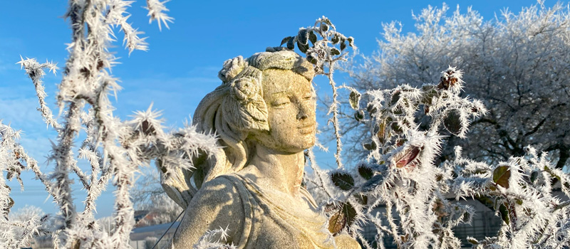 Winterimpressionen