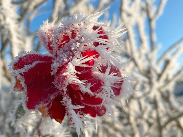 Winterimpressionen