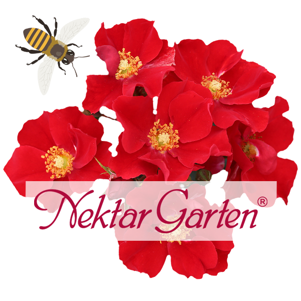 NektarGarten® Kollektion