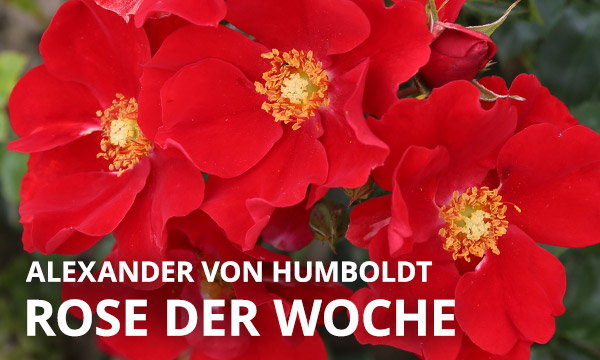 Alexander von Humboldt