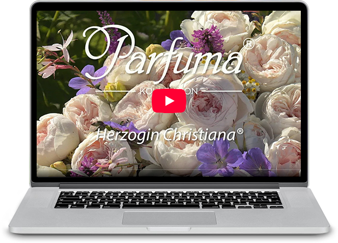 Kurzfilm Herzogin Christiana®