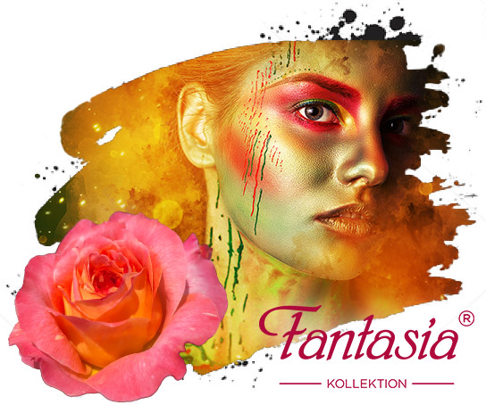 Fantasia® Kollektion