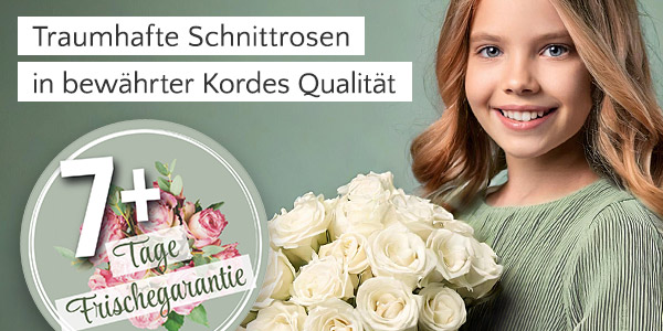 Traumhafte Schnittrosen 