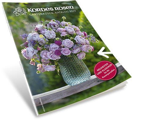 Rosen-Katalog 2026