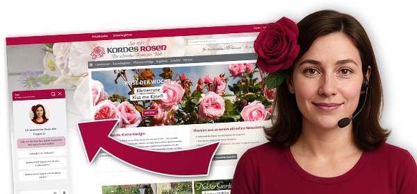 Virtuelle Beratung Rosi Virtuelle Beratung Rosi