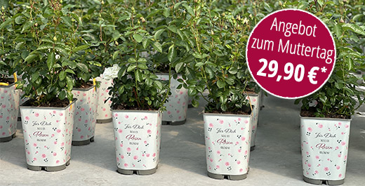 Angebot 6-Liter Dekortopf zum Muttertag