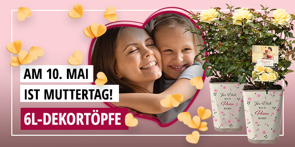 6L Dekortöpfe zum Muttertag