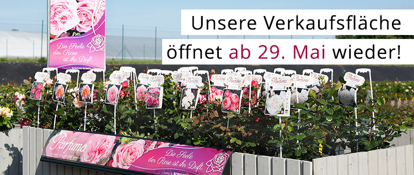 Saisonstart Verkaufsfläche