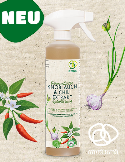 Fermentierter Knoblauch & Chili Extrakt