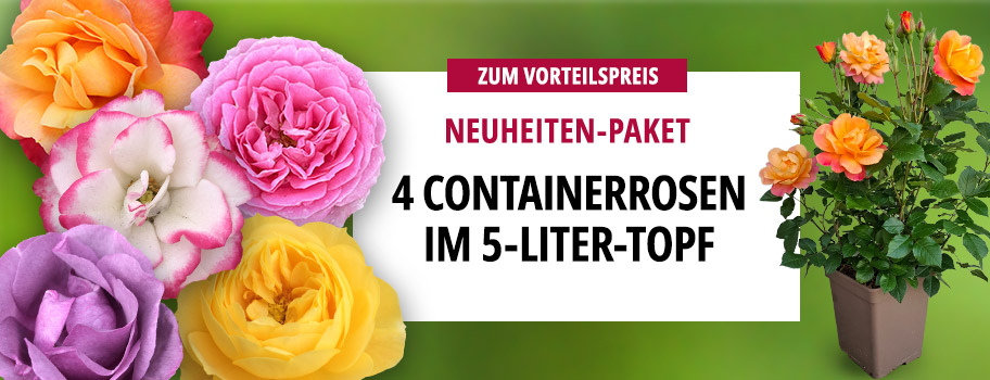 Neuheiten im 5-Liter-Topf