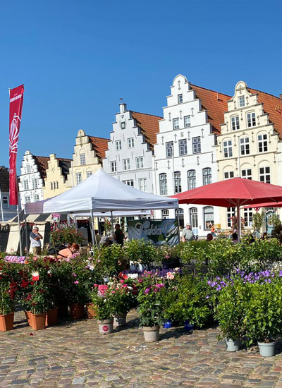 Rosenträume Friedrichstadt