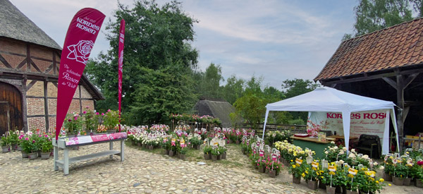 Rosenmarkt am Kiekebgerg