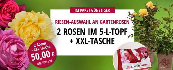 2er-Set mit XXL-Tasche