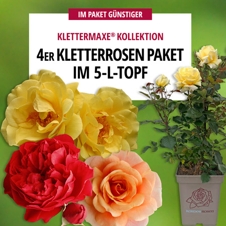 4er-Set Klettermaxe