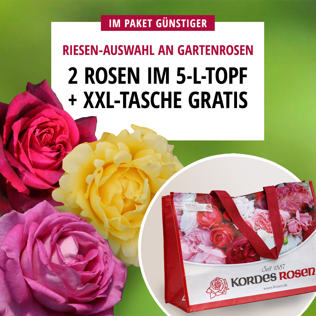 Angebot 2x 5-L-Topf + XXL-Tasche