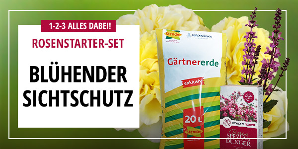 Rosenstarter-Set Blühender Sichtschutz