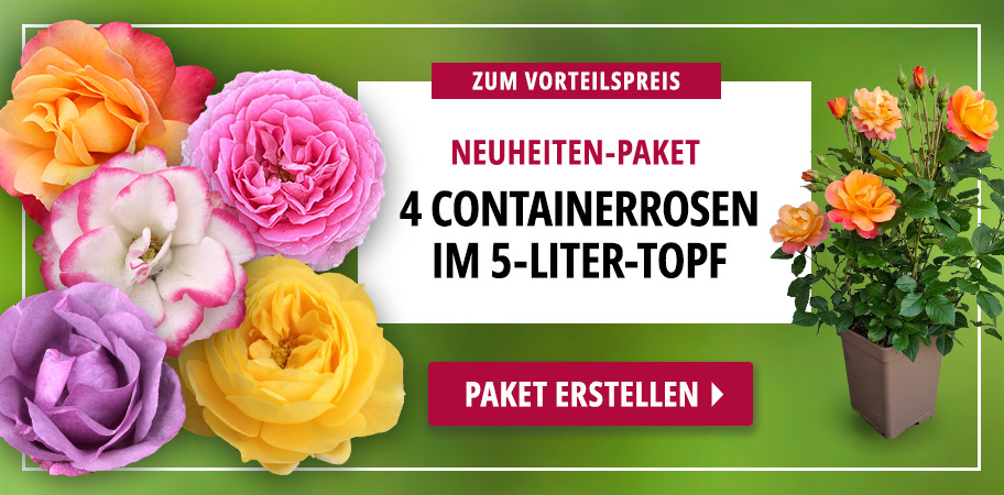 Neuheiten im 5-Liter-Topf
