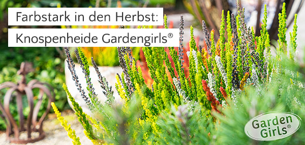Heidegarten
