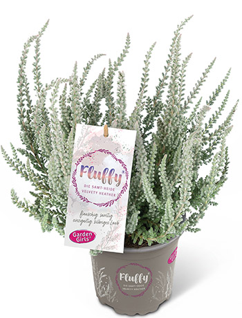 Heide Fluffy® 