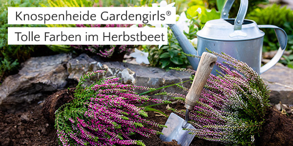 Heidegarten