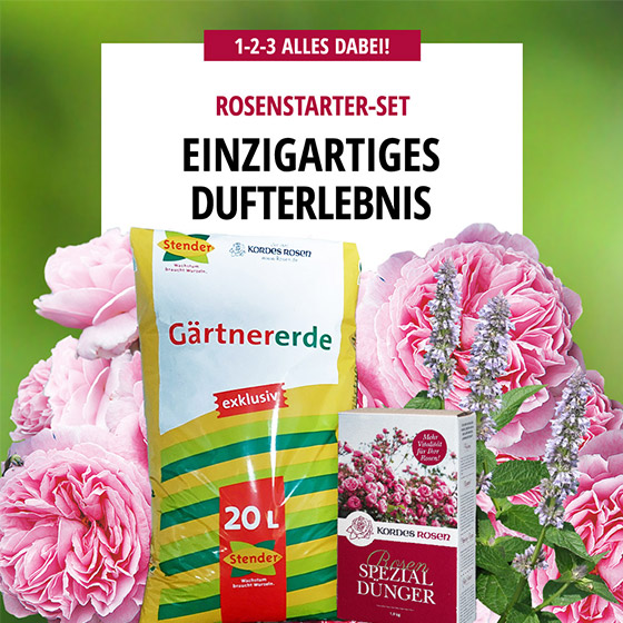 Starter-Set Einzigartiges Dufterlebnis Starter-Set Einzigartiges Dufterlebnis