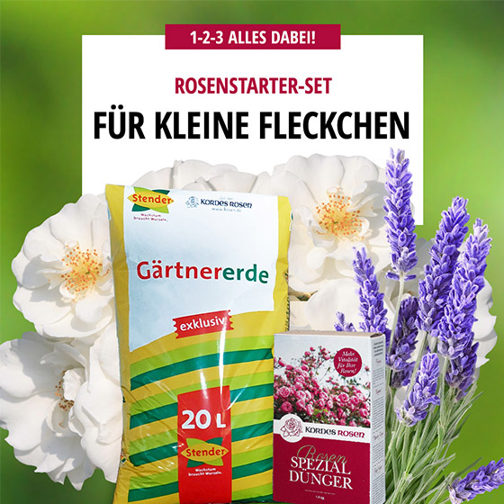 Starter-Set Für kleine Fleckchen Starter-Set Für kleine Fleckchen