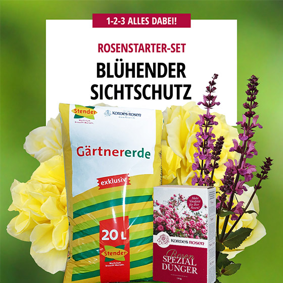 Starter-Set Blühender Sichtschutz Starter-Set Blühender Sichtschutz