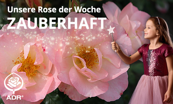 Zauberhaft