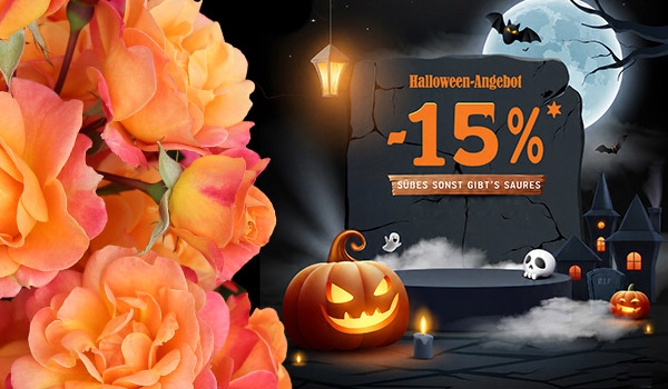 Halloween-Angebot