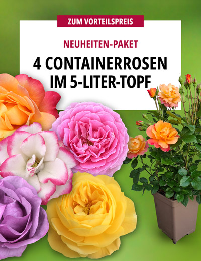Neuheiten-Paket